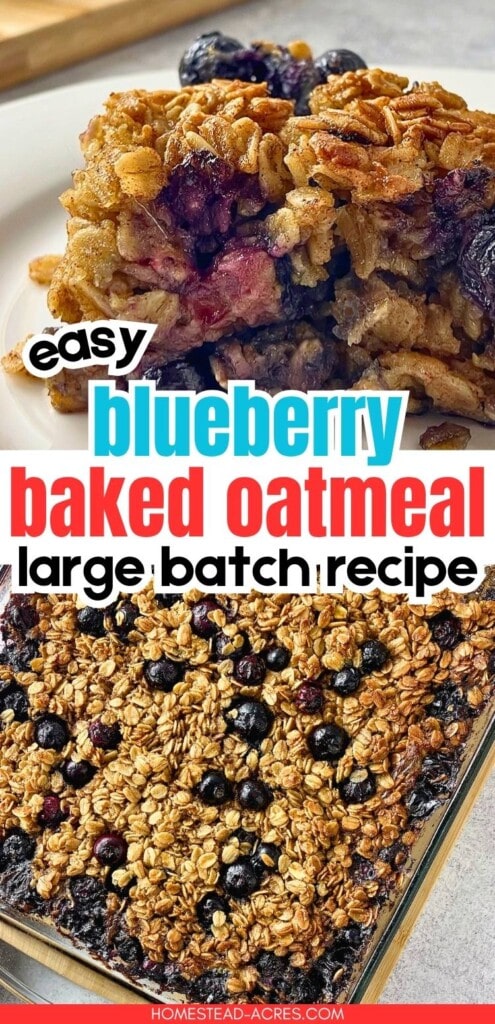 Slice of blueberry baked oatmeal on a plate above a full glass baking dish with golden oats and whole blueberries. Text reads "easy blueberry baked oatmeal large batch recipe".