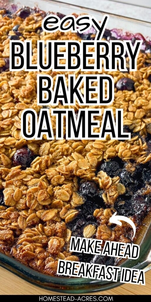 Close up of blueberry baked oatmeal with golden oats and whole blueberries in a glass baking dish. Text reads "easy blueberry baked oatmeal make ahead breakfast idea".