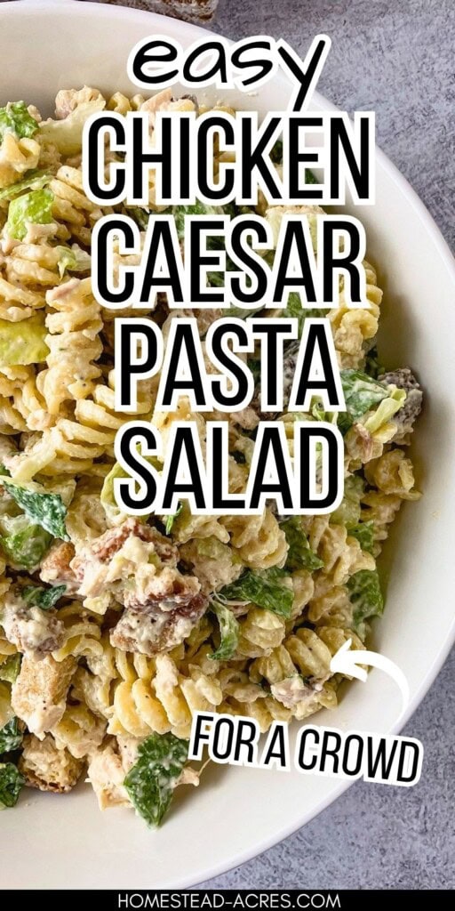 Close up of chicken Caesar pasta salad in a white bowl with rotini, chopped chicken, romaine lettuce, croutons, Parmesan cheese, and creamy dressing. The graphic text reads "Easy Chicken Caesar Pasta Salad For A Crowd."