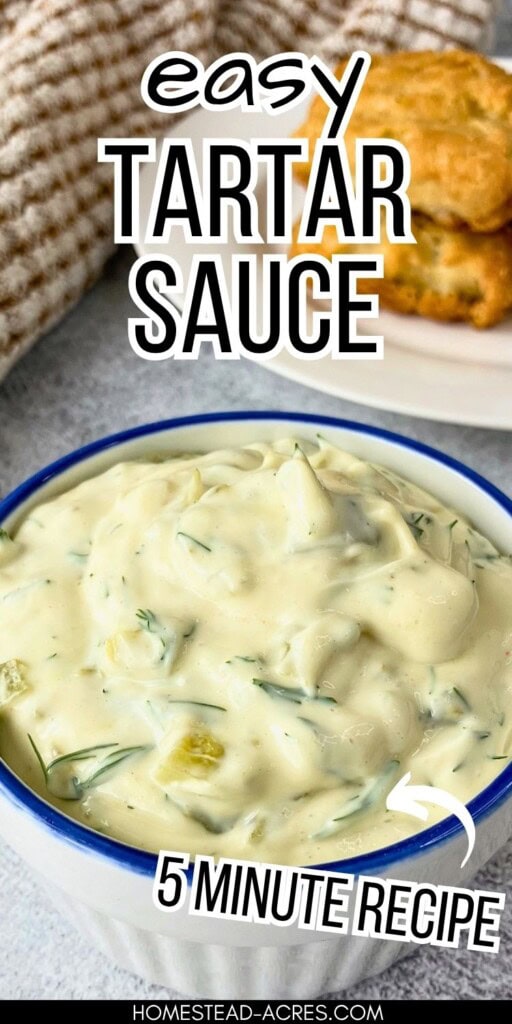 Bowl of creamy tartar sauce with dill and pickle pieces, with fried fish on a plate in the background. Text reads "Easy Tartar Sauce 5 Minute Recipe".