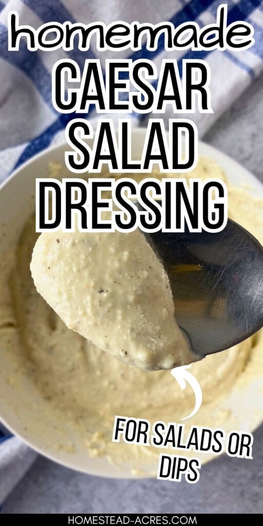 A spoonful of thick homemade Caesar salad dressing held over a bowl of creamy dressing. The graphic text reads "Homemade Caesar Salad Dressing for Salads or Dips."