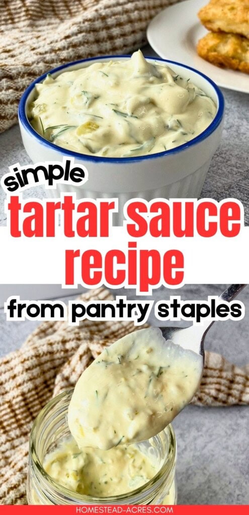 Bowl of creamy tartar sauce beside fried fish with a spoonful of sauce lifted from a glass jar below. Text reads "simple tartar sauce recipe from pantry staples".