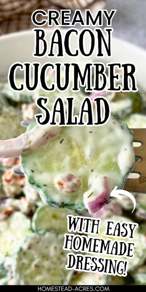 Forkful of creamy bacon cucumber salad with sliced cucumber, red onion, bacon, and dill dressing. Text reads "Creamy bacon cucumber salad" and "with easy homemade dressing".