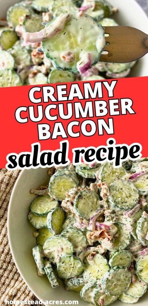 Forkful of creamy cucumber bacon salad above a bowl of sliced cucumbers, red onion, bacon, and dill dressing. Text reads "Creamy cucumber bacon salad recipe".