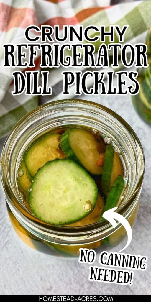 Open jar of crunchy refrigerator dill pickles with sliced cucumbers in golden brine. Text reads "crunchy refrigerator dill pickles" and "no canning needed".