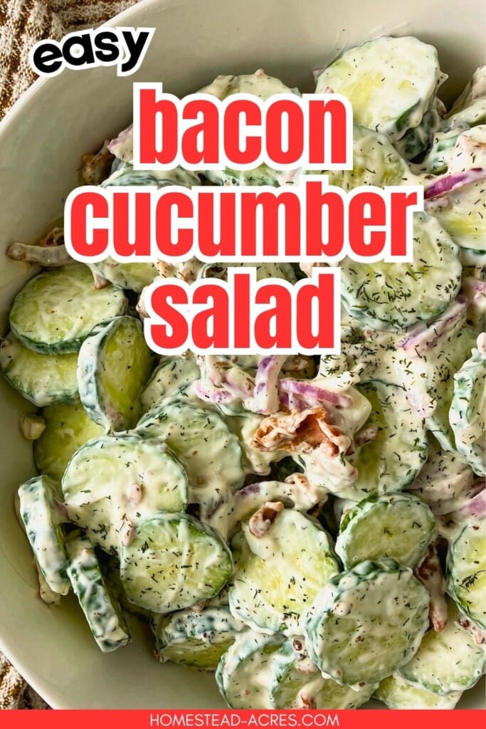 Close up of creamy bacon cucumber salad with sliced cucumbers, red onion, bacon pieces, and dill. Text reads "easy bacon cucumber salad".