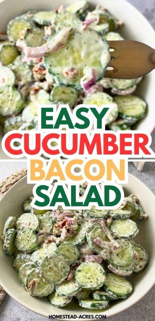 Forkful of creamy cucumber bacon salad above a bowl of sliced cucumbers, red onion, bacon pieces, and dill dressing. Text reads "Easy cucumber bacon salad".