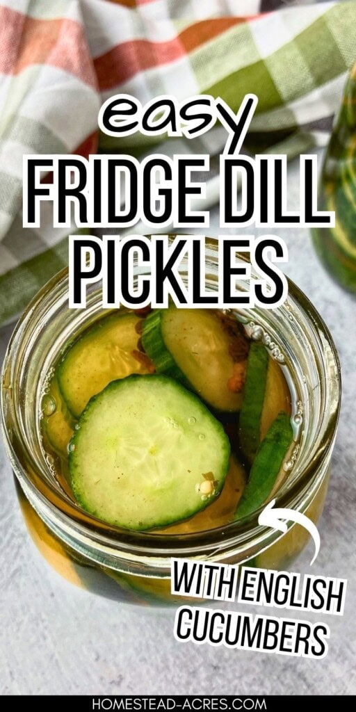 Open jar of easy fridge dill pickles with sliced cucumbers in golden brine. Text reads "easy fridge dill pickles" and "with English cucumbers".