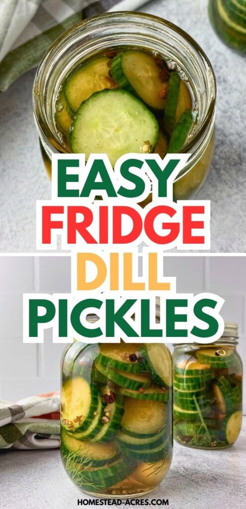 Open jar and two sealed jars of easy fridge dill pickles with sliced cucumbers in golden brine. Text reads "Easy fridge dill pickles".