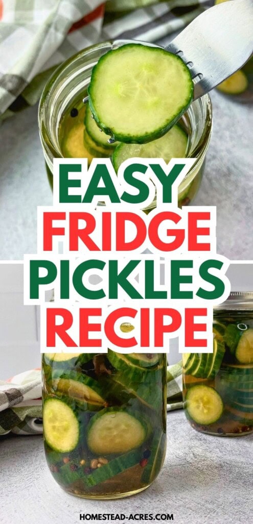 Fork lifting a cucumber slice from a jar above two jars of easy fridge pickles in brine. Text reads "Easy fridge pickles recipe".