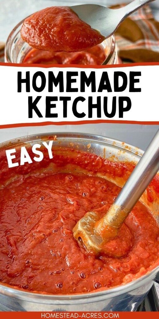 A pot of red homemade ketchup is being blended with an immersion blender, with a spoonful of ketchup above a glass jar. Text reads "Homemade ketchup" and "Easy".