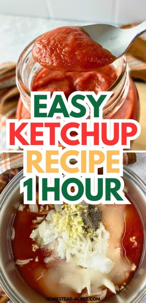 Spoonful of homemade ketchup above a glass jar, with a pot of ketchup ingredients including tomato sauce, onion, garlic, sugar, salt, and pepper below. Text reads "Easy ketchup recipe 1 hour".