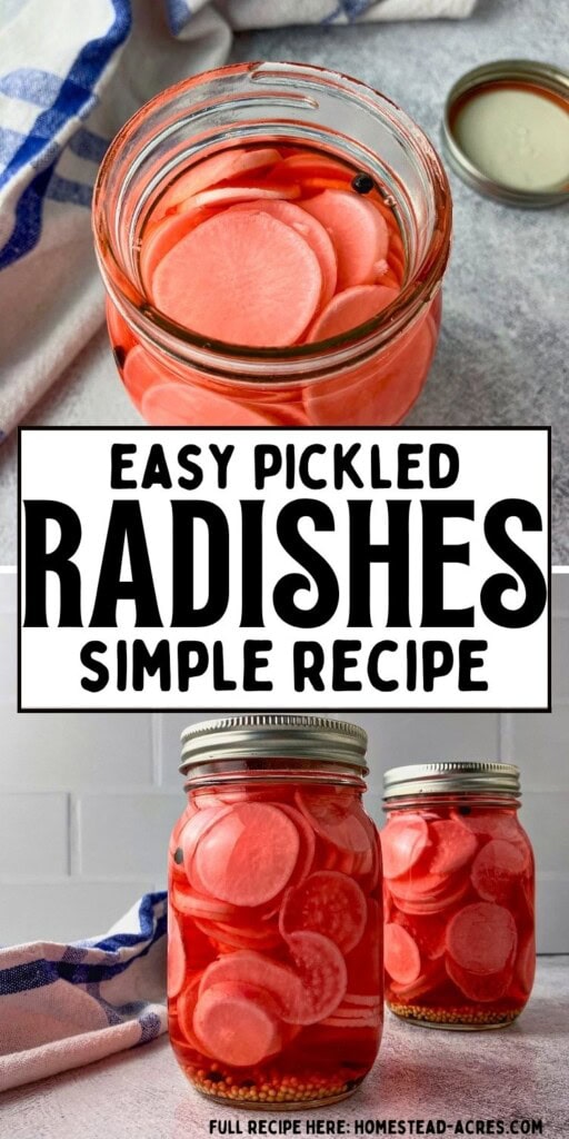 Jars of pink pickled radishes in red brine with mustard seeds and peppercorns. Text reads "Easy pickled radishes simple recipe".