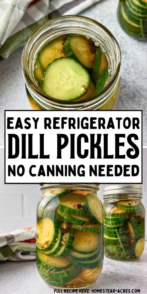 Open jar and two sealed jars of refrigerator dill pickles with sliced cucumbers and fresh dill in brine. Text reads "Easy refrigerator dill pickles no canning needed".