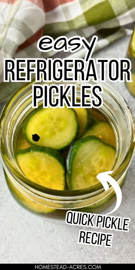 Open jar of sliced refrigerator pickles in brine with a peppercorn floating on top. Text reads "easy refrigerator pickles" and "quick pickle recipe".