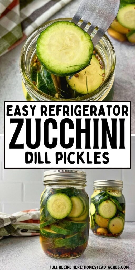 Fork lifting a round zucchini slice from a jar of zucchini dill pickles, with two filled jars below. Text reads "Easy refrigerator zucchini dill pickles".