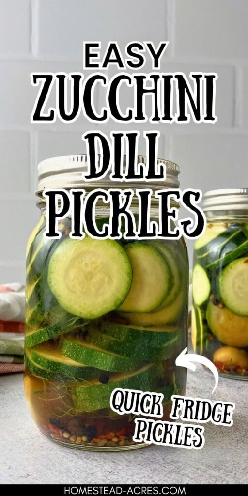 Two jars of easy zucchini dill pickles with round zucchini slices in brine. Text reads "Easy zucchini dill pickles" and "quick fridge pickles".