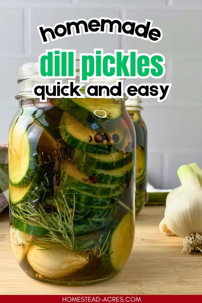 Jar of homemade dill pickles with sliced cucumbers and fresh dill in brine beside a head of garlic. Text reads "homemade dill pickles quick and easy".