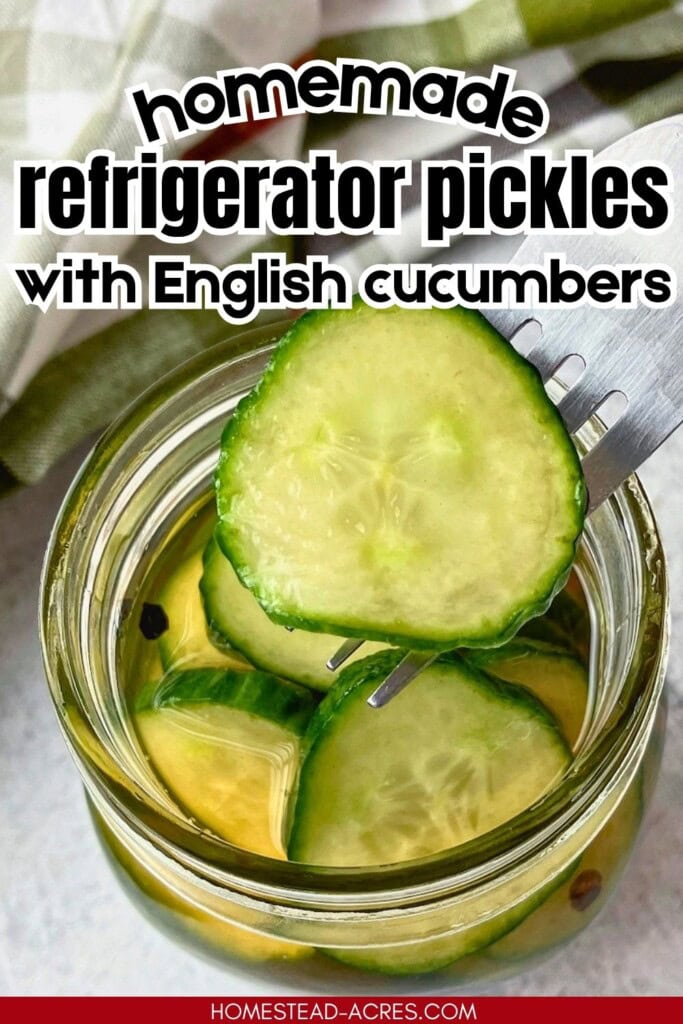 Fork lifting a cucumber slice from a jar of homemade refrigerator pickles with English cucumbers in brine. Text reads "homemade refrigerator pickles with English cucumbers".