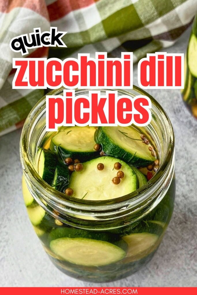 Open jar of zucchini dill pickles with sliced zucchini, dill, garlic, peppercorns, pickling spice, and red pepper flakes in brine. Text reads "quick zucchini dill pickles".