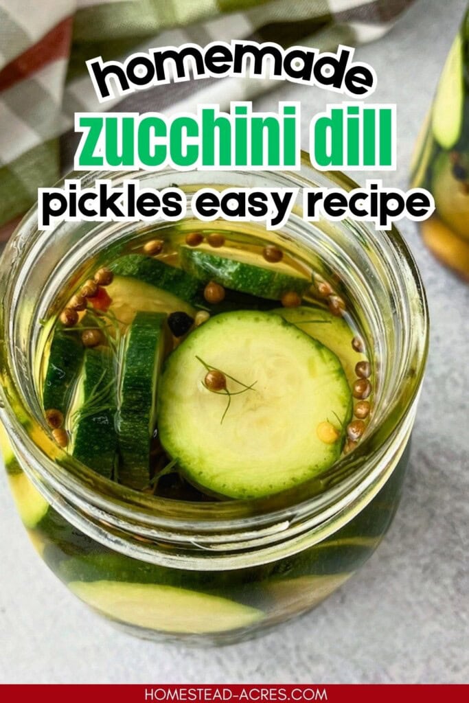 Open jar of homemade zucchini dill pickles with round zucchini slices in brine. Text reads "homemade zucchini dill pickles easy recipe".