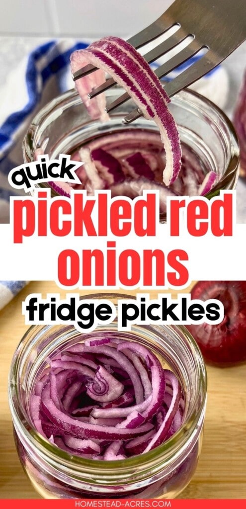 Fork lifting a thin slice of pickled red onion from a glass jar above another jar filled with red onion slices. Text reads "quick pickled red onions" and "fridge pickles".