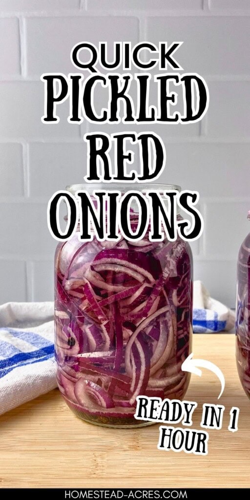Glass jar filled with sliced pickled red onions in brine on a wooden board. Text reads "Quick pickled red onions" and "Ready in 1 hour".