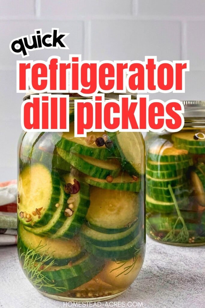 Two jars of quick refrigerator dill pickles with sliced cucumbers and fresh dill in brine. Text reads "quick refrigerator dill pickles".