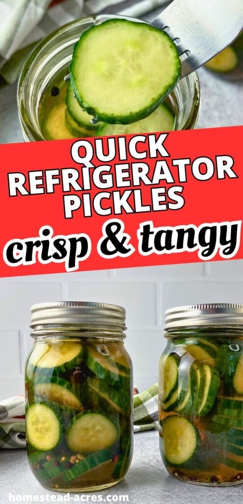 Fork lifting a cucumber slice from a jar above two jars of quick refrigerator pickles in brine. Text reads "Quick refrigerator pickles" and "crisp and tangy".