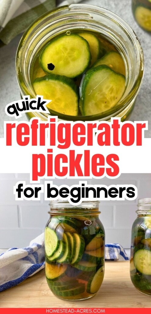 Open jar of sliced refrigerator pickles above two jars of cucumber pickles in brine. Text reads "quick refrigerator pickles for beginners".