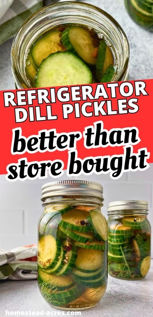 Open jar and two sealed jars of refrigerator dill pickles with sliced cucumbers and fresh dill in brine. Text reads "Refrigerator dill pickles" and "better than store bought".