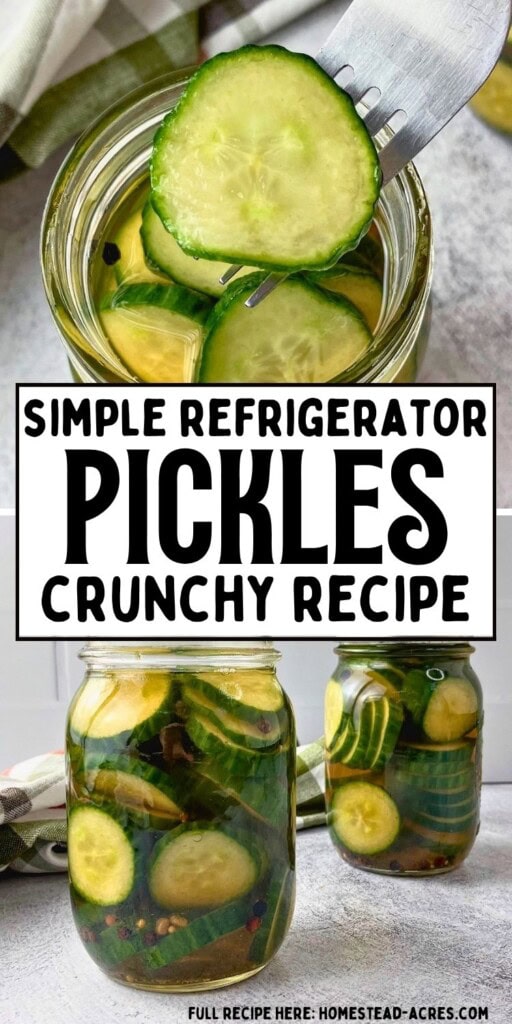 Fork lifting a cucumber slice from a jar of refrigerator pickles, with two jars of pickles in brine below. Text reads "Simple refrigerator pickles crunchy recipe".