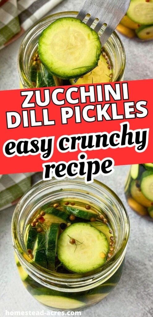 Fork lifting a slice of zucchini dill pickle from a jar above another open jar with dill, garlic, peppercorns, pickling spice, and red pepper flakes in brine. Text reads "Zucchini dill pickles easy crunchy recipe".