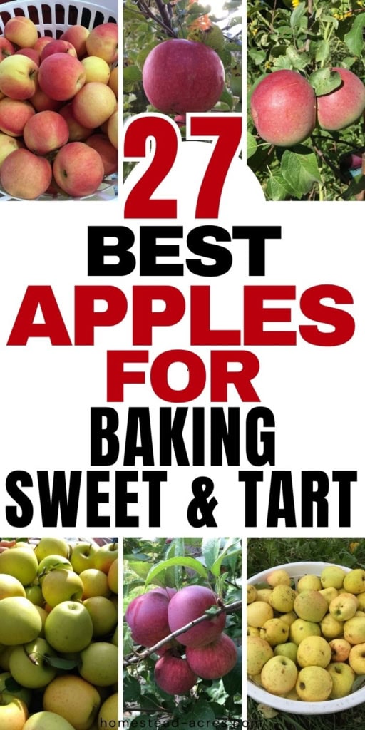 Collage image showing several varieties of red yellow and green apples in baskets and growing on leafy trees. Text reads "27 BEST APPLES FOR BAKING SWEET & TART".