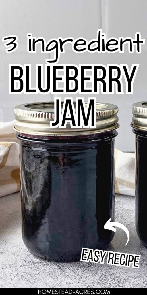 Jar of dark blueberry jam on a gray counter with another jar partly visible beside it. Text reads "3 ingredient blueberry jam" and "easy recipe".