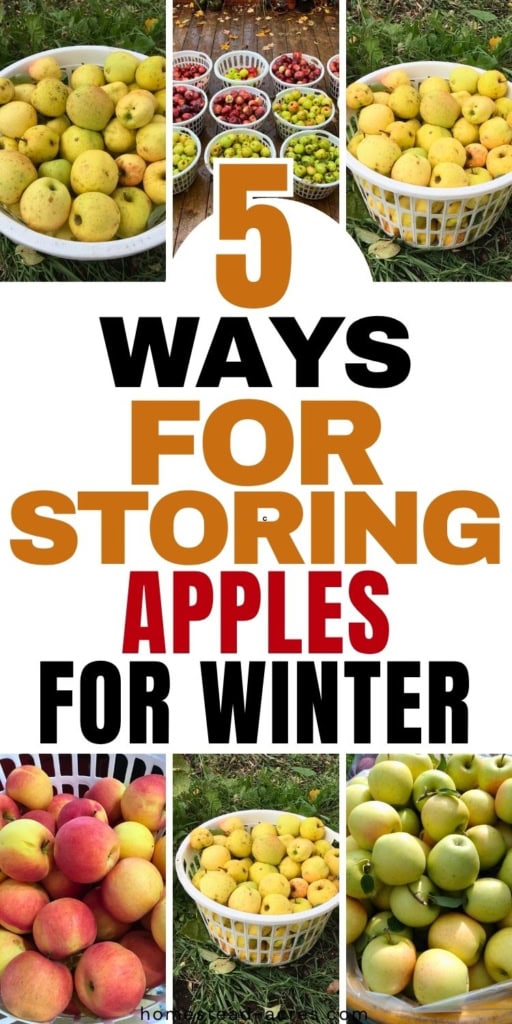 Collage of baskets filled with red and yellow apples after harvest for winter storage. Text reads "5 ways for storing apples for winter".