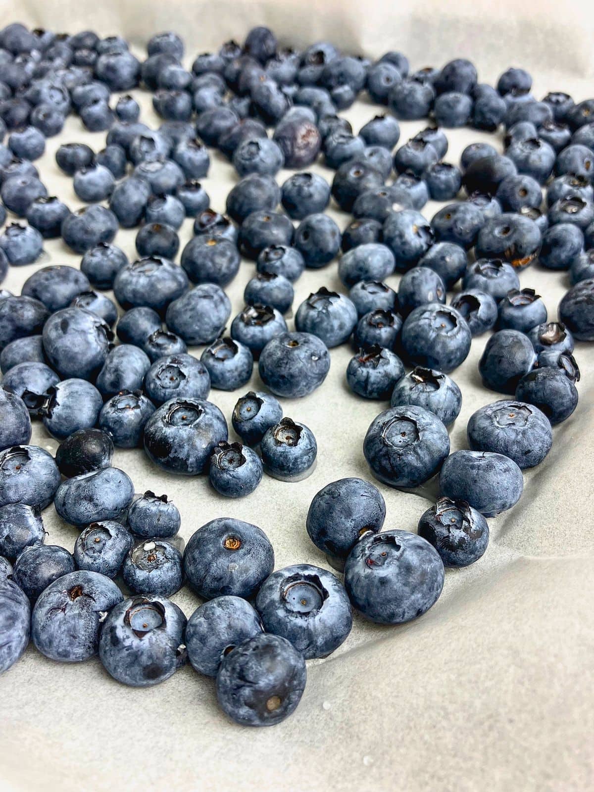 Fresh blueberries spread in a single layer on parchment paper so the berries are separated before freezing. This step in how to freeze blueberries helps prevent them from freezing together in one large clump.