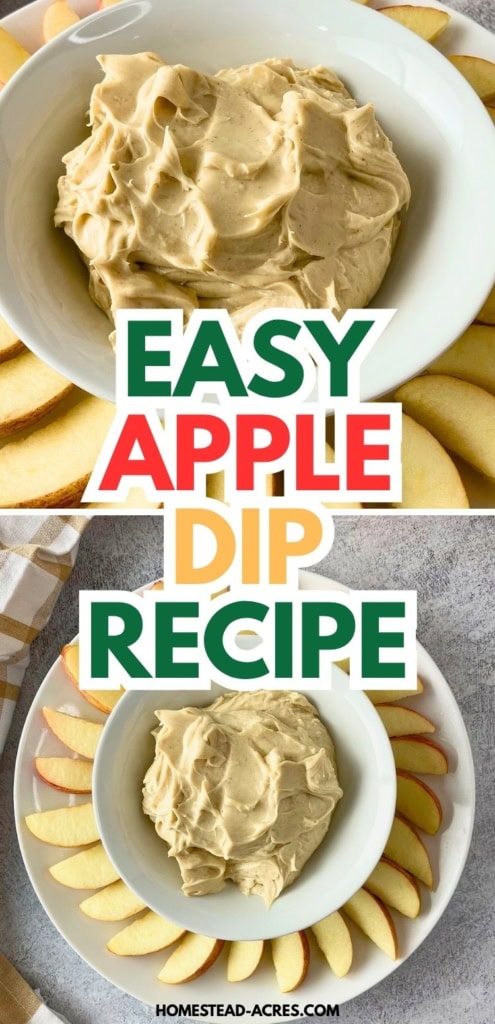 Collage image showing a bowl of creamy cream cheese apple dip surrounded by sliced apples in two serving views. Text reads "EASY APPLE DIP RECIPE".