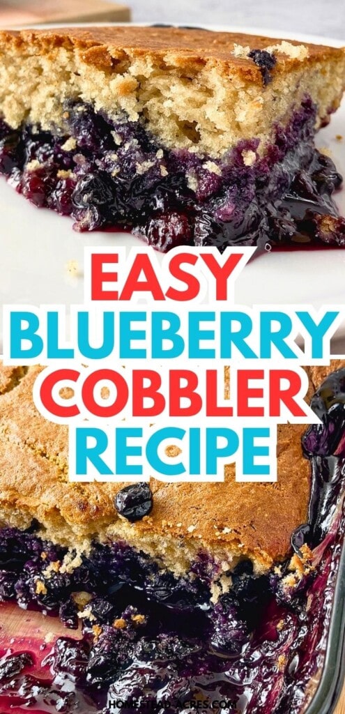 Blueberry cobbler collage showing a slice on a plate and a baking dish with golden topping and juicy blueberry filling. Text reads "Easy blueberry cobbler recipe".