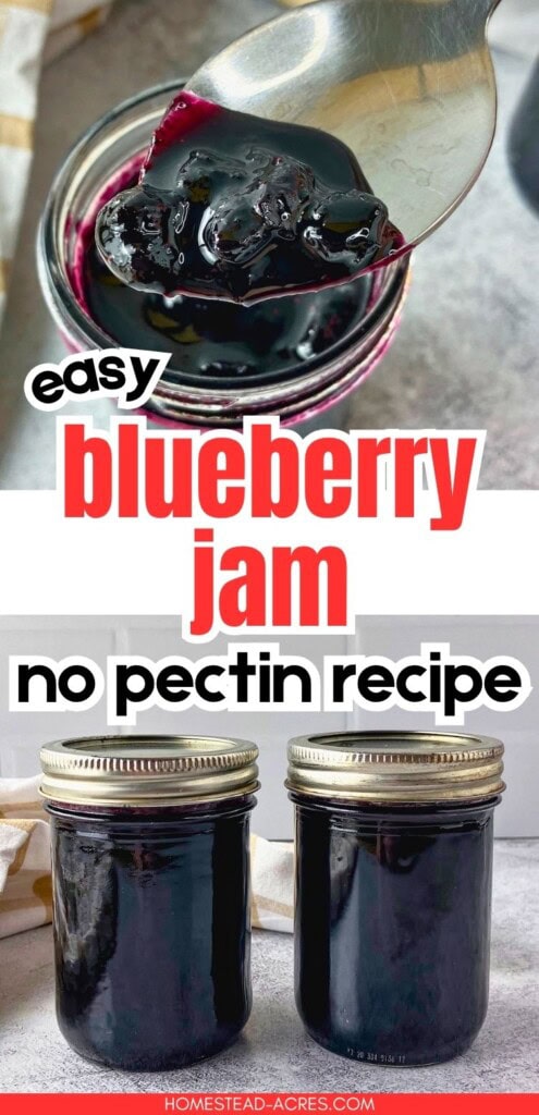 Spoon lifting thick blueberry jam from an open jar above two sealed jars of jam. Text reads "easy blueberry jam no pectin recipe".