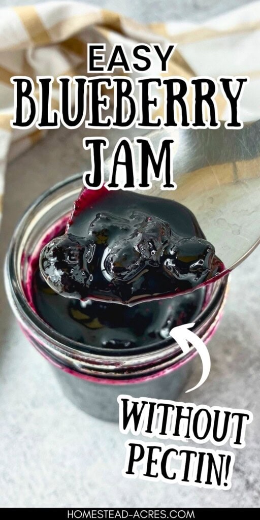 Spoon lifting thick blueberry jam from an open jar with glossy jam visible below. Text reads "Easy blueberry jam" and "without pectin".
