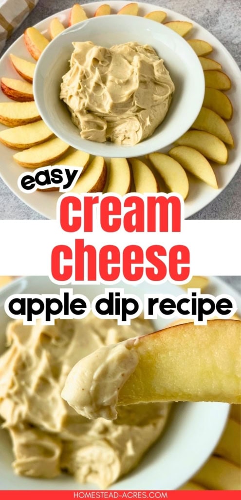 Collage image showing a bowl of creamy apple dip surrounded by sliced apples above a close up of an apple slice dipped into the creamy mixture. Text reads "easy cream cheese apple dip recipe".