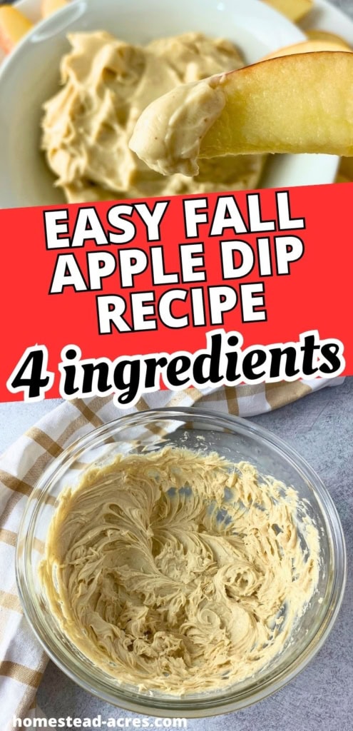 Collage image showing an apple slice dipped in creamy cream cheese apple dip above a glass bowl of whipped dip. Text reads "EASY FALL APPLE DIP RECIPE" and "4 ingredients".