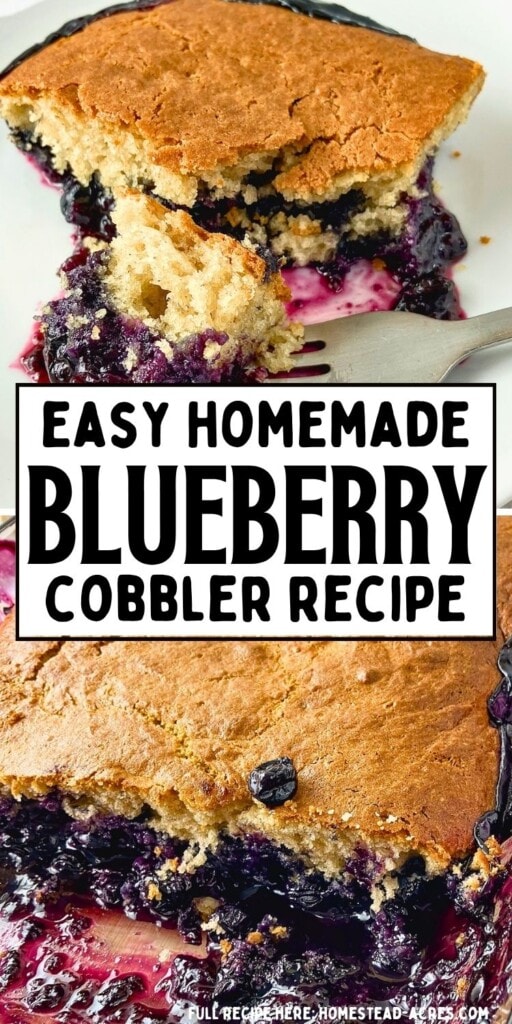 Blueberry cobbler collage showing a serving on a plate and a baking dish with golden topping and glossy blueberry filling. Text reads "Easy homemade blueberry cobbler recipe".