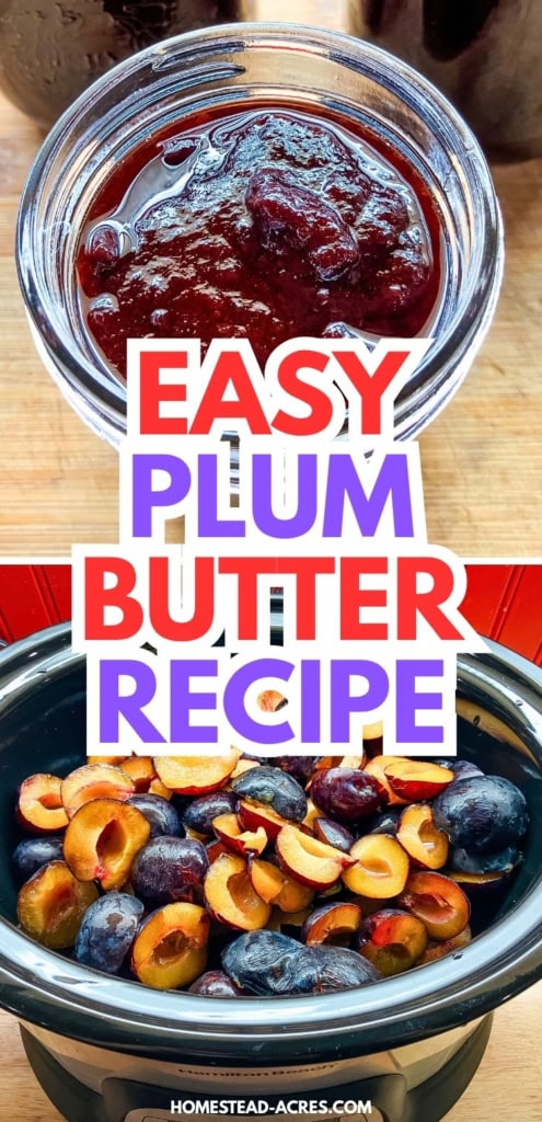 Collage showing a jar of thick slow cooker plum butter above halved plums in a slow cooker. Text reads "EASY PLUM BUTTER RECIPE".