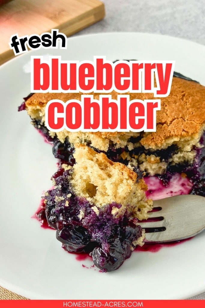 Fresh blueberry cobbler on a white plate with a forkful of golden cake topping and juicy blueberry filling. Text reads "fresh blueberry cobbler".