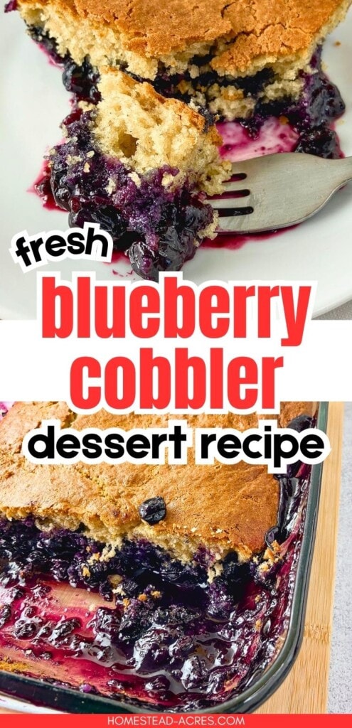 Fresh blueberry cobbler collage showing a forkful of cobbler and a baking dish with golden topping and juicy blueberry filling. Text reads "fresh blueberry cobbler dessert recipe".