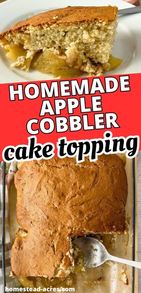 Collage image showing a slice of homemade apple cobbler on a white plate above a glass baking dish filled with golden brown cobbler and tender apple filling. Text reads "HOMEMADE APPLE COBBLER cake topping".