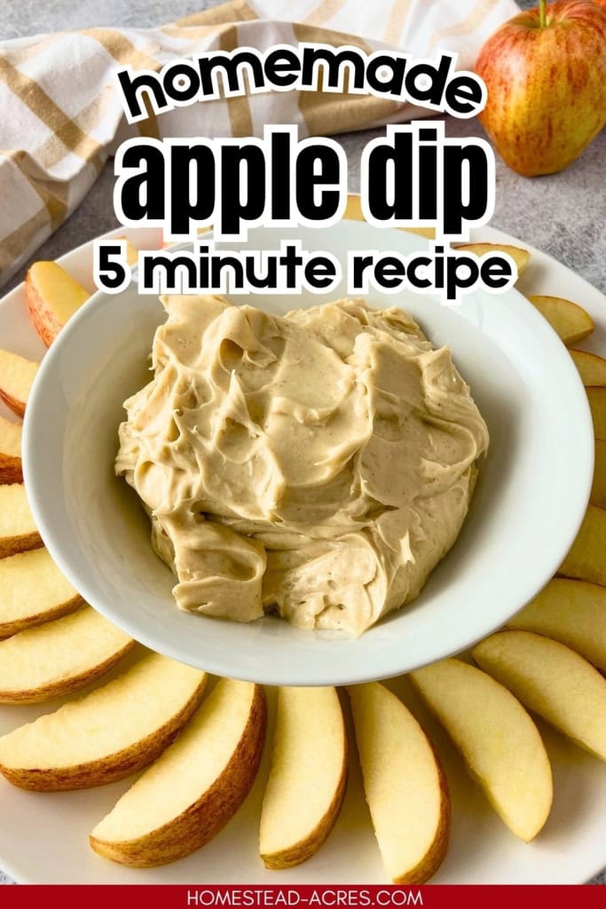 Bowl of creamy cream cheese apple dip surrounded by sliced apples on a serving platter with a whole apple in the background. Text reads "homemade apple dip" and "5 minute recipe".
