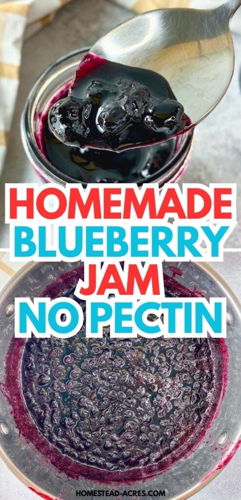 Homemade blueberry jam collage showing a spoonful of thick jam above a pot of cooked blueberries. Text reads "Homemade blueberry jam no pectin".